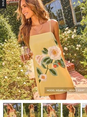 Vici Blossom Society Embroidered Floral Mini Dress